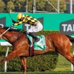 Esta es la única yegua entre los 30 mejores caballos del mundo
