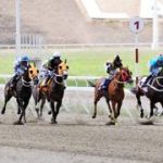 Favoritos de la cátedra para el 5y6 Nacional de la reunión N°18