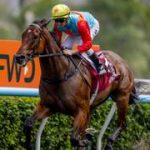 20 victorias seguidas y nuevo récord en el Chairman’s Sprint Prize (Gr1)