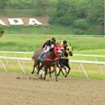 Acá tiene lo que notificó Winder Veliz sobre Dumpling en la jornada dominical