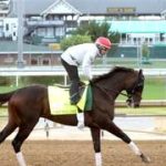 Así fue el trabajo de Chief Wallabee con el Atleta Meridiano en el lomo