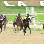 Cambian a las autoridades del hipismo venezolano