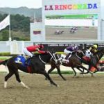 Datos de Última Hora para el 25-04-2026