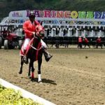 Datos de Última Hora para el 26-04-2026