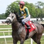 Edgard Zayas regresa sobre Maykomotion para el Sophomore Sprint Stakes de $100,000 en Gulfstream Park