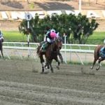 El nombre de un reconocido semental venezolano que buscará la gloria en la Copa Negresco