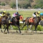 Este es el cuadro sugerido (baratico) del 5y6 del sábado en La Rinconada