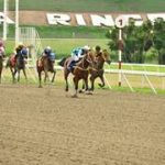 Este es el informe que presentó el jockey de Torrestrella en La Rinconada