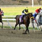 Estos son los ejemplares con los mejores «Ratings» para sellar un cuadro ganador del 5y6 de la R18