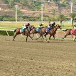 Estos son los retirados de la Reunión N°17 en el hipódromo La Rinconada para el domingo 19-4-2026