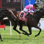 Instability vs. Teddy’s Rocket se enfrentan en el Woodhaven Stakes de $150,000