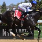 Javier Castellano es el jinete más destacado de la semana en New York