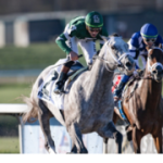 Kentucky Derby: Fulleffort, esta fuera debido a esta lesión que produjo su retiro