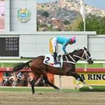 La campeona Princesa Fina encabeza los 1.400 metros de la Copa Negresco en La Rinconada