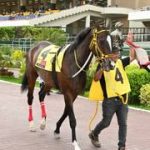 Lo que debes saber sobre los cambios en la primera válida antes de sellar