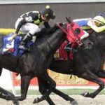 Mira el cuadro sugerido (baratico) para el 5y6 de este domingo en La Rinconada