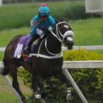 Princesa Fina derrota a los machos y se consagra en la Copa Negresco