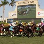 Seis carreras de caballos criados en Florida, con una bolsa de premios de 600.000 dólares, llegan este sábado