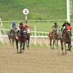 Siete purasangres desafían el calendario en La Rinconada