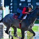 Sonny León se erige como el más destacado del miércoles en Tampa Bay Downs