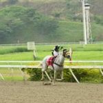 Suspenden a Robert Capriles dos semanas por este motivo en La Rinconada