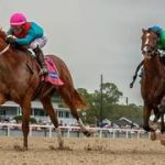 The Puma llega a Churchill Downs con este llamativo trabajo previo