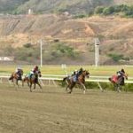 Victoreado, Rayo Láser y Viva La Paz volverán a sonar en La Rinconada