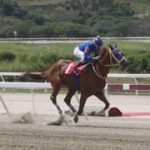 ¿Hija de gato caza ratón? La descendiente del veloz Tie Hand regresa en el cierre del meeting a La Rinconada