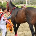 ¿Quién domina realmente la distancia en la Copa “Negresco”?