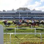 Así quedaron los resultados de las carreras en Gulfstream Park para el sábado 9-5-2026