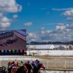 Autoridades del Preakness ofrece un incentivo de seis cifras a entrenadores