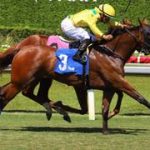 Celtic Dispute domina el Royal Palm Juvenile y sella su boleto a Inglaterra