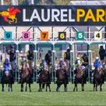 Conoce a cada uno de los competidores que participan en la edición 151 del Preakness Stakes (G1)