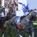 Conoce al ejemplar chileno que sale entre los mejores Caballos del Mundo