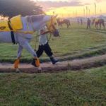 Datos de última hora para el Hipódromo Nacional de Valencia 09-5-2026