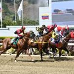 El cuadro sugerido para el 5y6 nacional de este domingo en La Rinconada