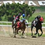 El ejemplar que asume el protagonismo en el 5y6 de La Rinconada