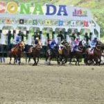 El hipismo capitalino se apuesta en MeridianoBet