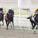 Entérate de los ejemplares con los mejores «Ratings» para sellar su cuadro del 5y6 en la R20