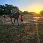 Entérate del ejemplar retirado para el Hipódromo Nacional de Valencia 09-05-2026