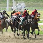 Estos fueron los números de gualdrapas más ganadores en la R19