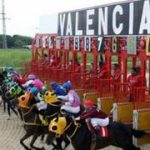 Estos son los retirados de la Reunión N°11 en el hipódromo de Valencia para el sábado 2-5-2026