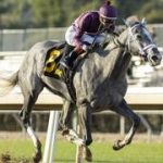 Los Alamitos Thoroughbred anunció su calendario de stakes para la temporada 2026