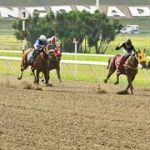 Multado jinete profesional en La Rinconada tras fallar en el repeso reglamentario