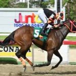 Princess Warrior buscará un desafío en el Clásico Asamblea Nacional (GII)