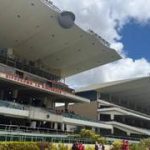 Una pelota de real abona los seis aciertos del 5y6 de La Rinconada para este domingo 3-5-2026