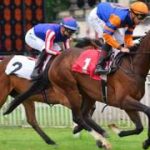 ahora tiene un ganador de Stakes en Italia