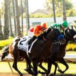 Bob “El Tío” Baffert marca un hito en los Alamitos Derby con la victoria de Sabino Canyon