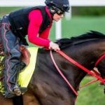 Coal Batter, quedó listo para enfrentar al grupo selecto en el Hanshin Stakes (G3) que cierra la temporada selectiva