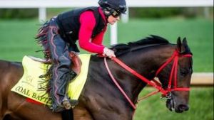 Coal Batter, quedó listo para enfrentar al grupo selecto en el Hanshin Stakes (G3) que cierra la temporada selectiva